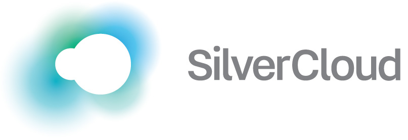 SilverCloud Professional Logo sans tagline